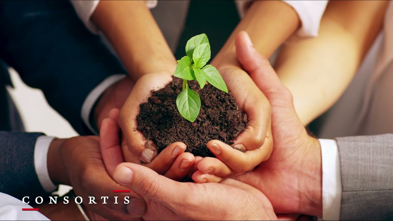 Consortis Corporate
