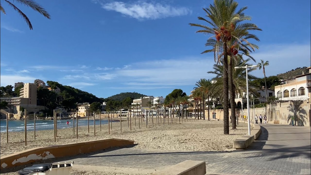 Paguera 💜 Mallorca 🇪🇸 Winter Traum ☀️ Rundgang 💜 Boulevard & Palmira 🌴 am Mittag 💜 chillen 🤗
