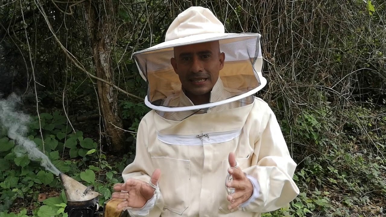 Cuando cambiar un nucleo de abejas, a camara de cria