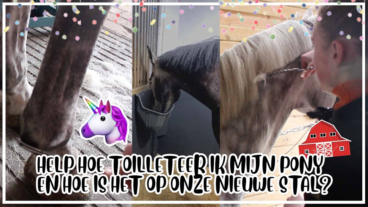 🧡 Hoe TOILETTEERT Joanne haar pony?💇 En hoe ziet de nieuwe stal eruit?🏡🦄| Epplejeck