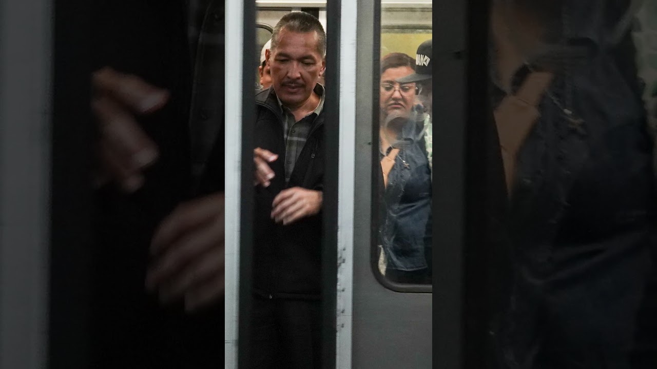 Captan &ldquo;chinche&rdquo; en pasajero del Metro CDMX