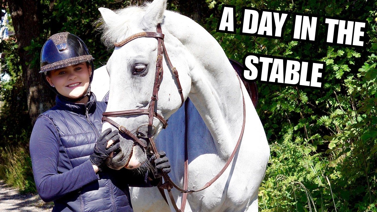 Rir begge hestene |Stallvlogg