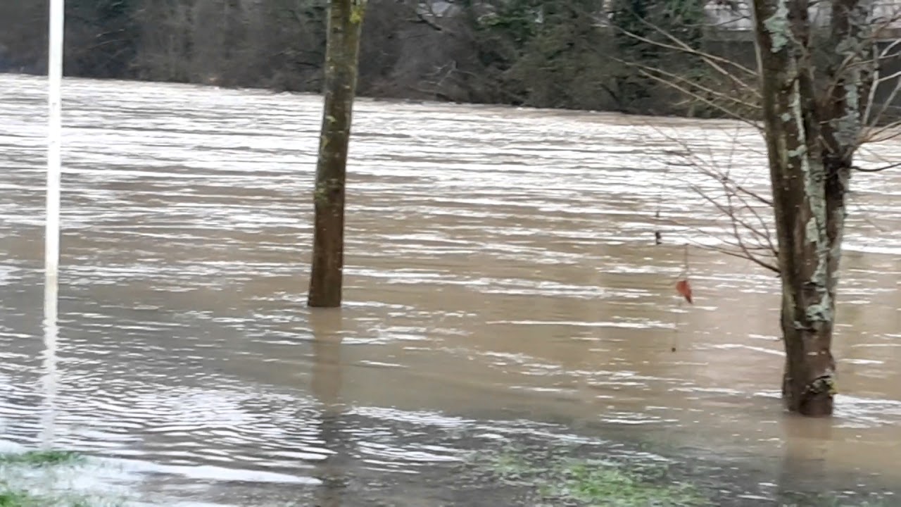 Hochwasser Nassau/Lahn Januar 2018