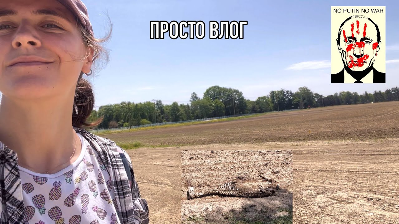 Raw влог после детеншен