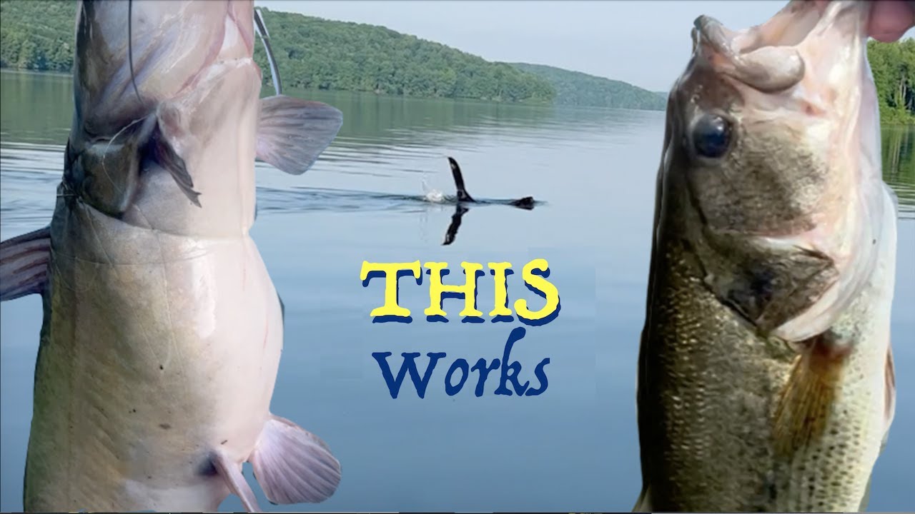 LGmouths | PB Fish | Bonus: Loch Ness of L. Arthur? June