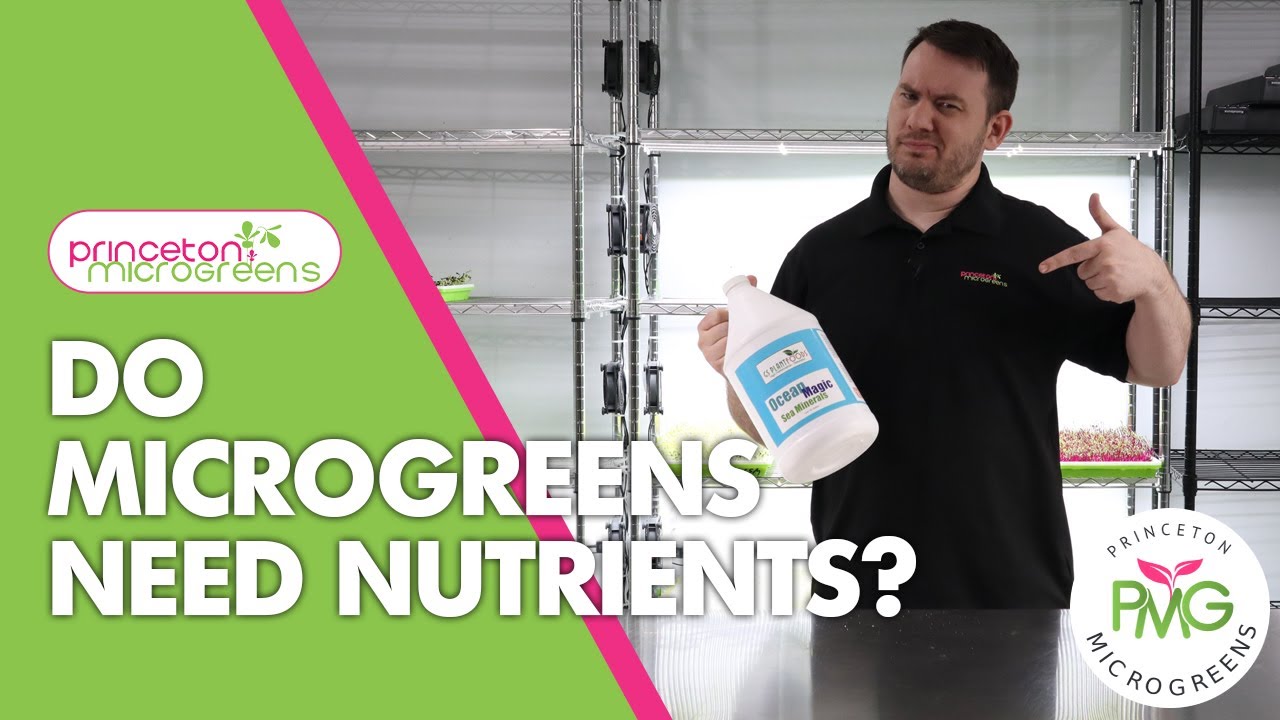 Do Microgreens NEED Nutrients?