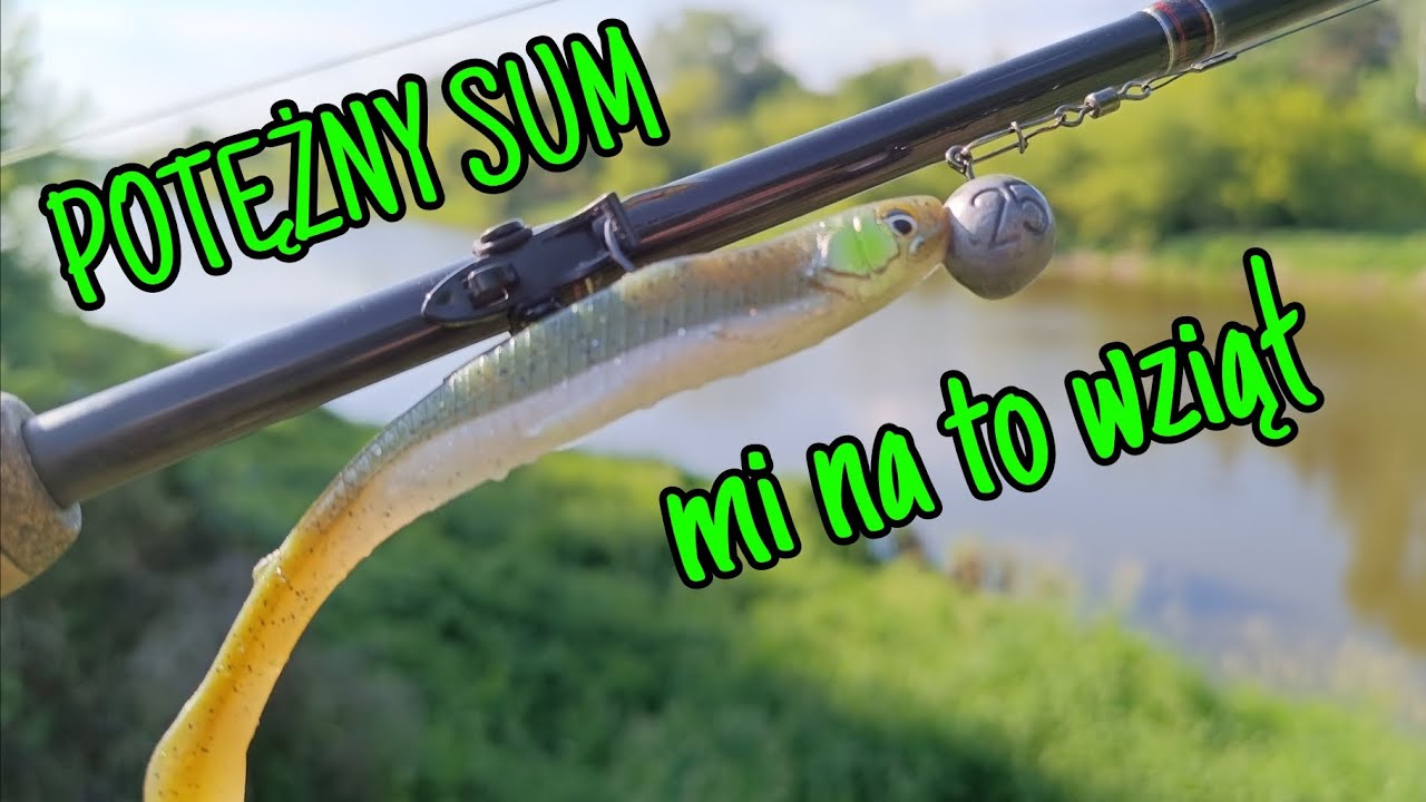 JEST SUM Z BUGU ! WĘDKA TRZESZCZY , KOŁOWROTEK LEDWO WYTRZYMUJE . CO ZA RYBA