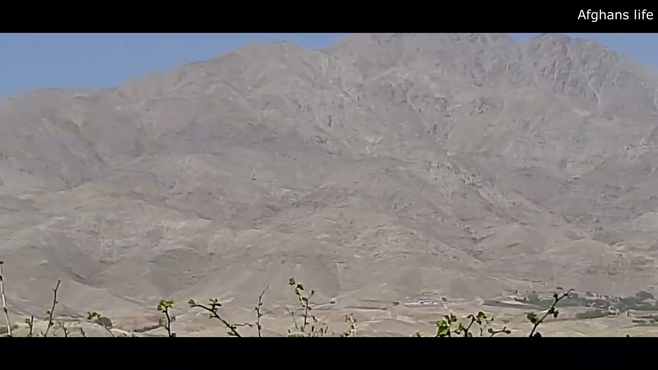 grapes gardens, Qarabagh district, Kabul province, Afghanistan