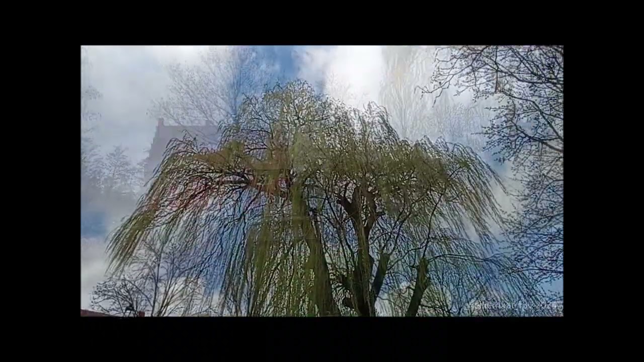 Heute vor einem Jahr: Dortmund Lanstrop, Haus Wenge ( JAMES.LFO - Urban Legends)