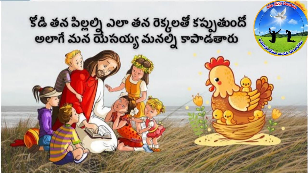 తన రెక్కలతో కప్పుతును is live