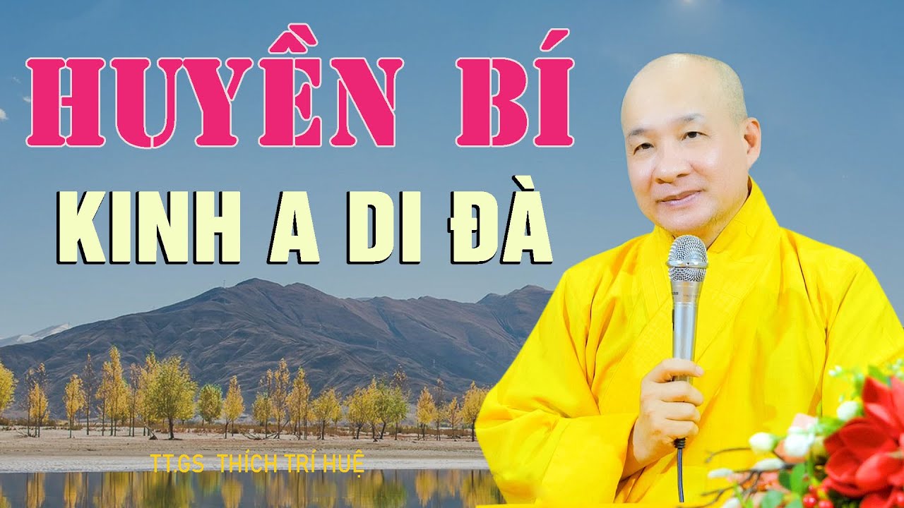 Ai Hiểu Kinh Này vãng sanh cái Chắc - cực hay. Thầy Thích Trí Huệ