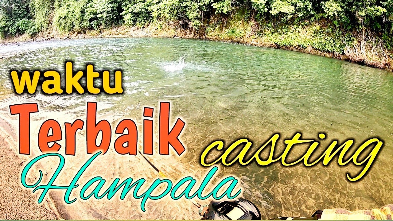Waktu terbaik casting Hampala | Best Time Casting Hampala barb | ハンパラをキャストするのに最適な時間 I fishing