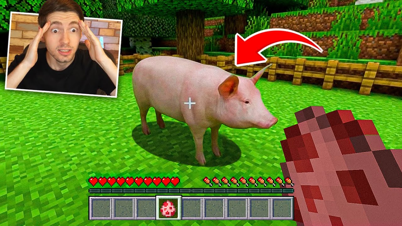 O PORCO SUPER REALISTA no MINECRAFT!!! (INÉDITO)