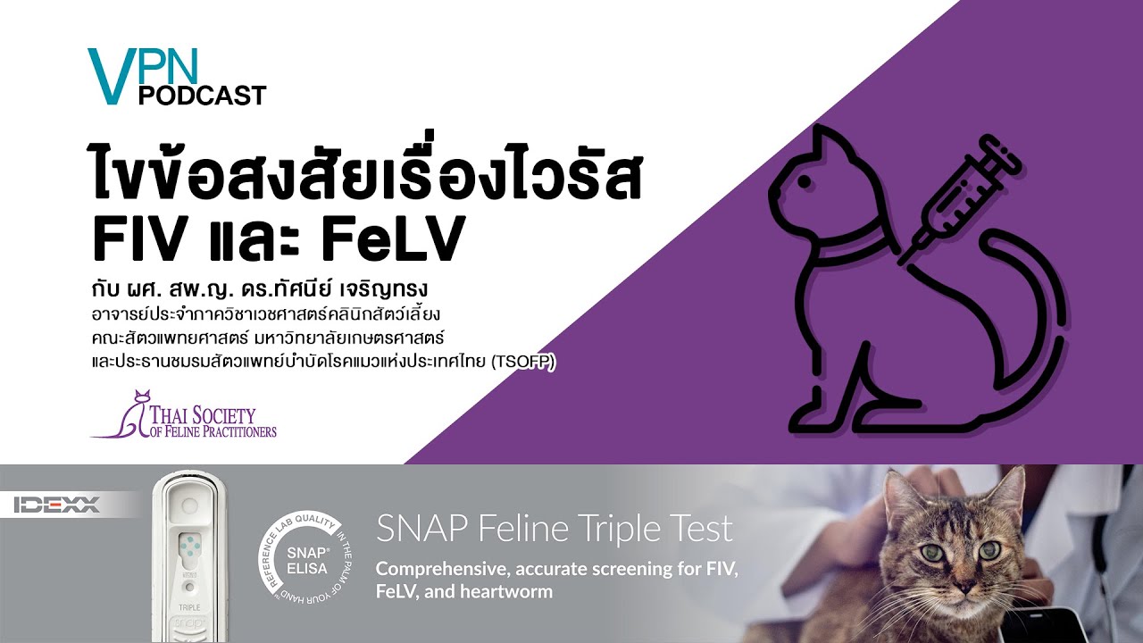 VPN Podcast EP.8 - ไขข้อสงสัยเรื่องไวรัส FIV/FeLV