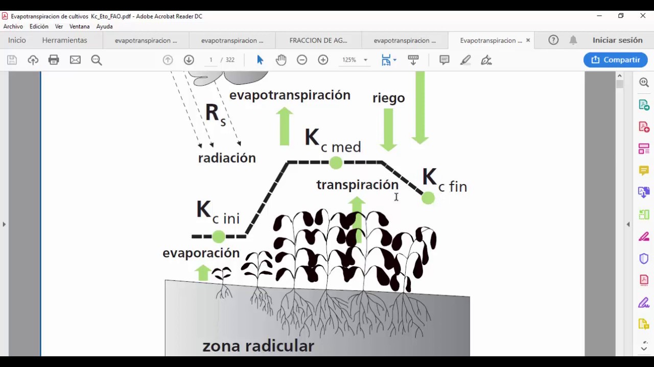 CROPWAT MODULO CULTIVO