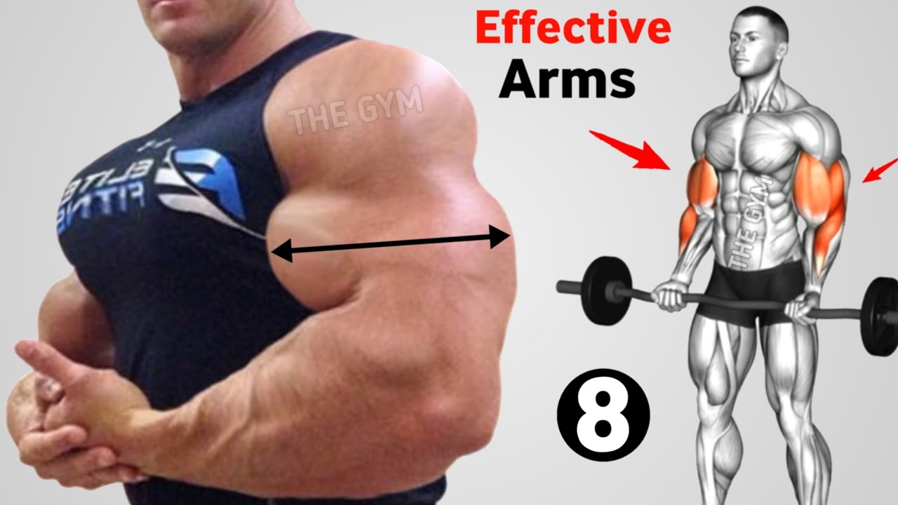 8 Effective Biceps & Triceps Exercises At Gym