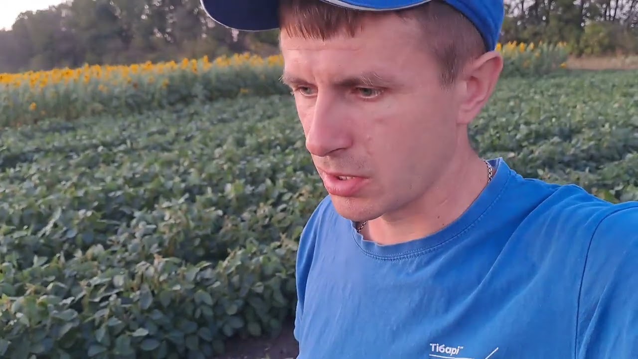 Приїхали на сою і ох#еніли. ппц сої