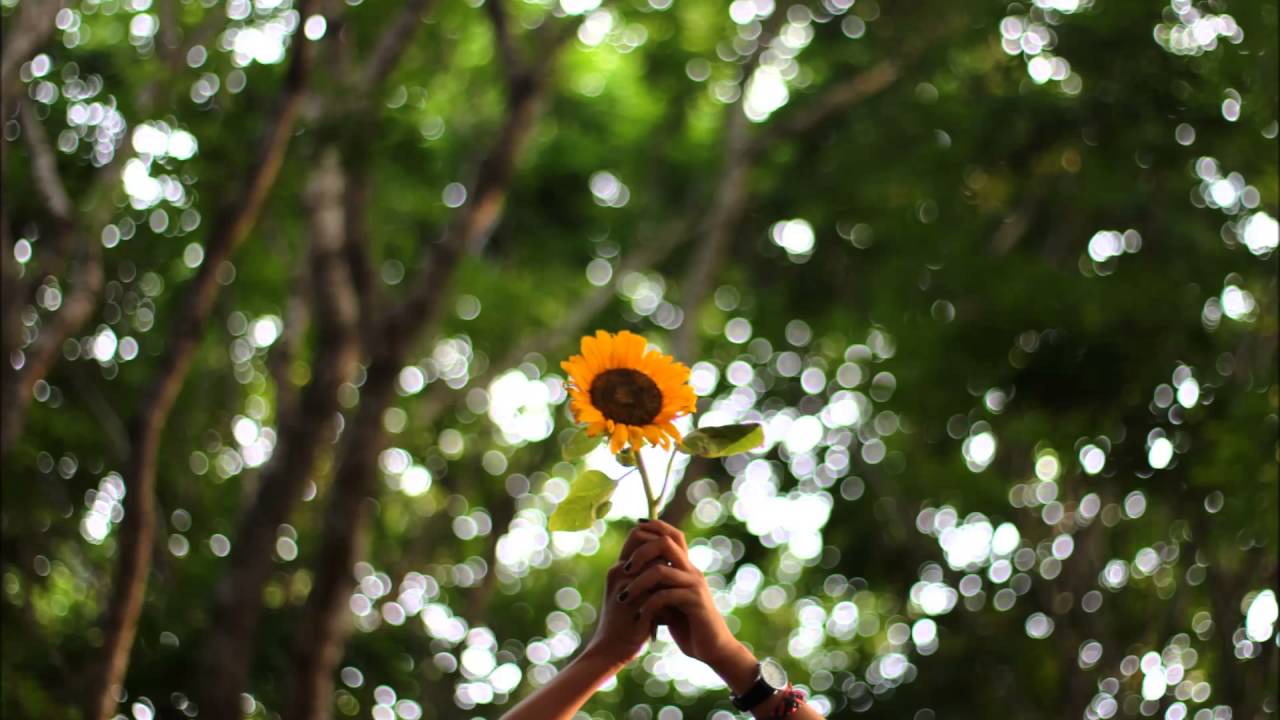 ANNIVERSARY 池田綾子　(作詞、作曲:松任谷由実)