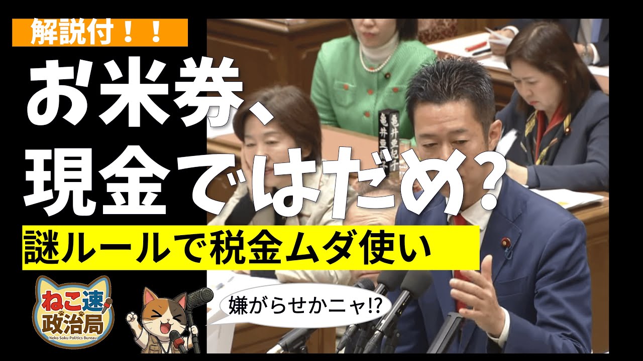 【ねこ速】「お米券」より消費税ゼロにして！ 期限切れ・再印刷…自治体を苦しめる政府の矛盾した指示【国会中継・立憲民主】タイトルなし 1