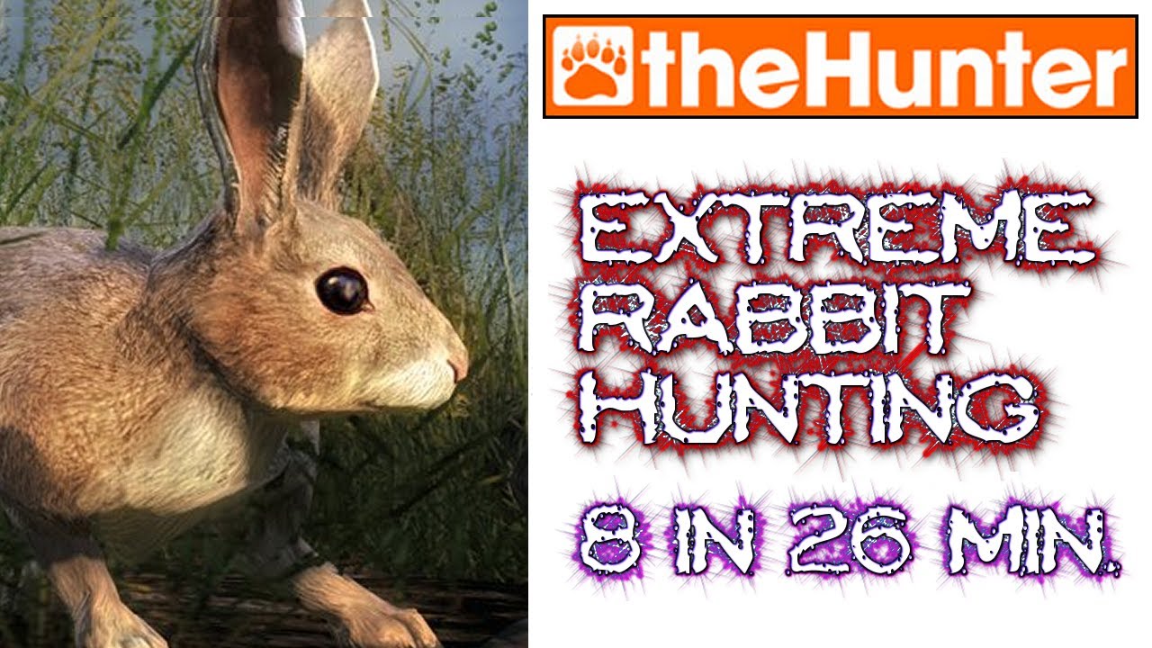 Extreme Rabbit Hunting - theHunter Classic