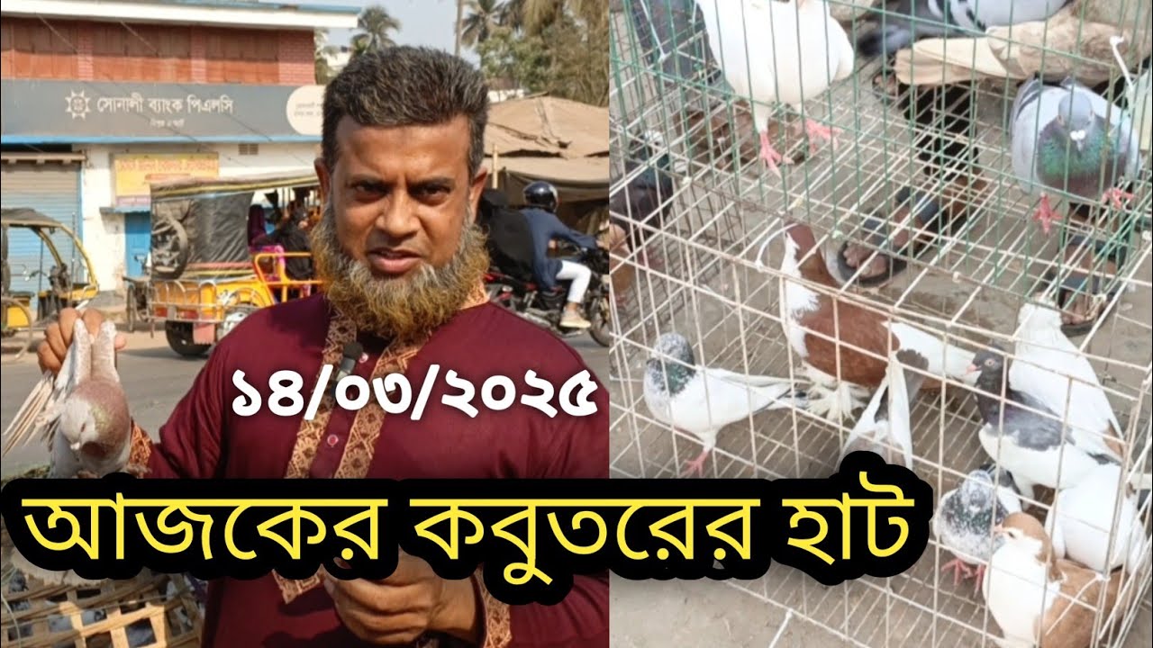 চুরামন কাটি কবুতরের হাট যশোর।। pigeon market in Bangladesh