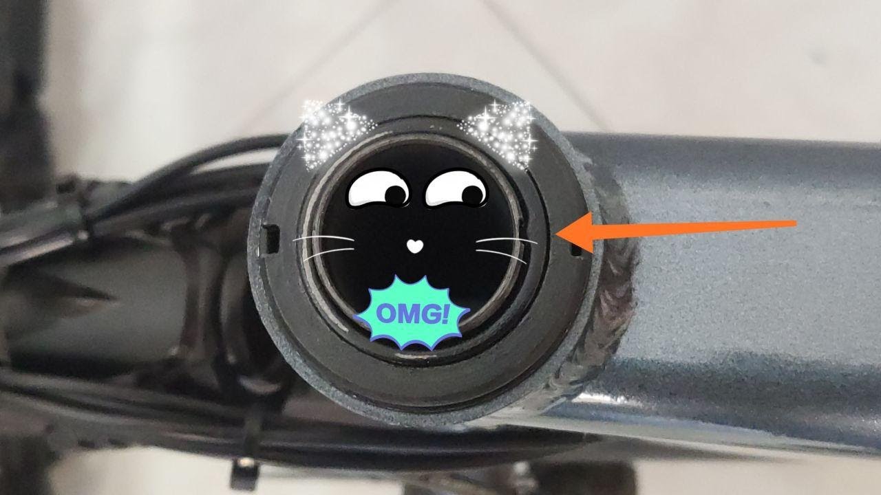 ITALIAEBIKE: LA REGOLAZIONE DELLO STERZO (FIIDO D2S E ALTRE BICI PIEGHEVOLI)...PERFETTA!