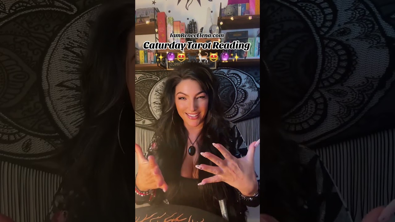 Caturday Card Pull 🔮🐈‍⬛🐈✨