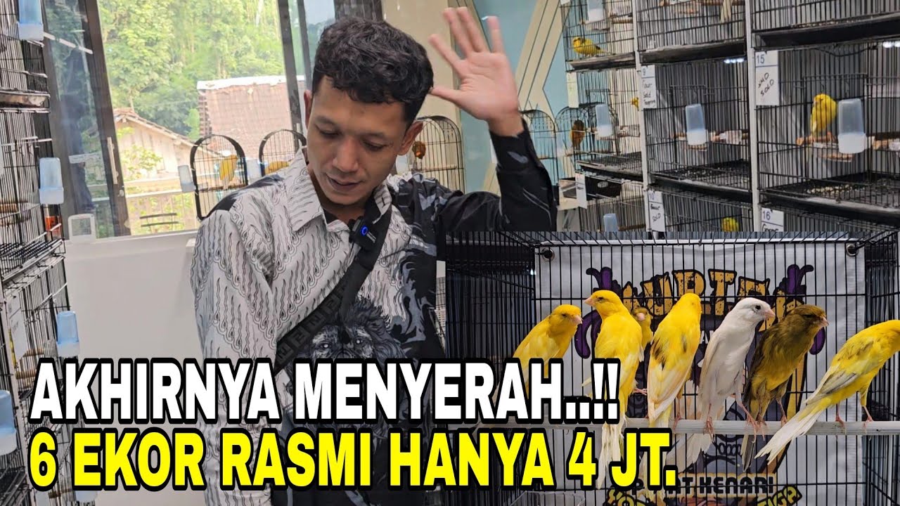 HARGANYA MENGERIKAN‼️APAKAH DI OBARAL BESAR DISINI⁉️