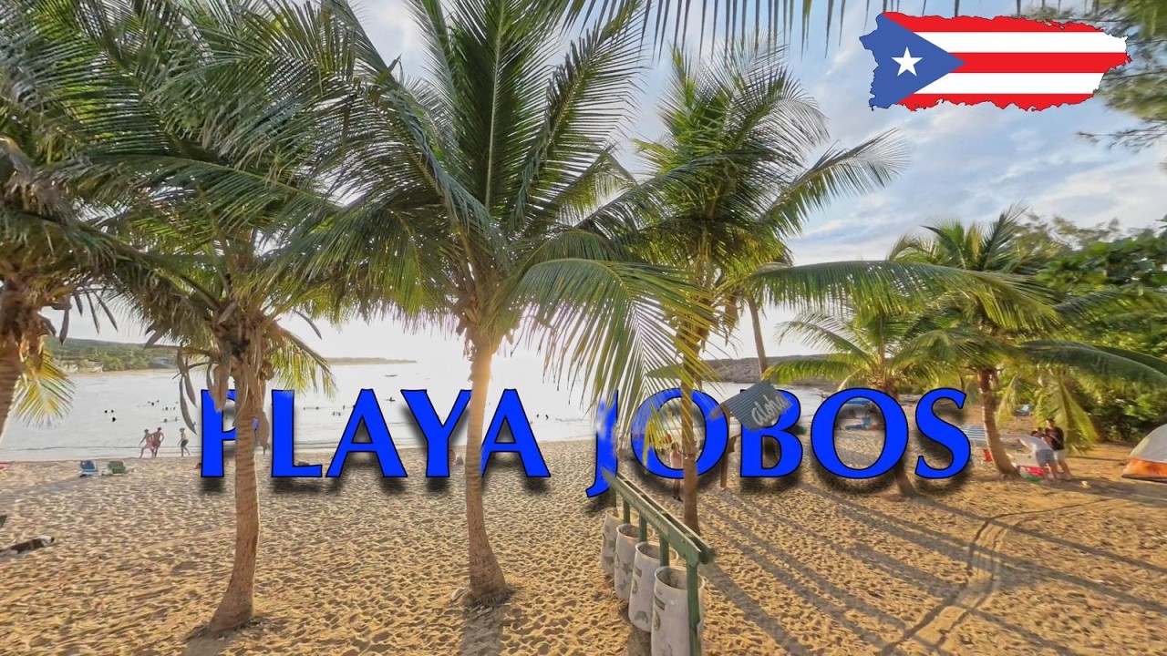 Exploring Playa Jobos In Isabela Puerto Rico