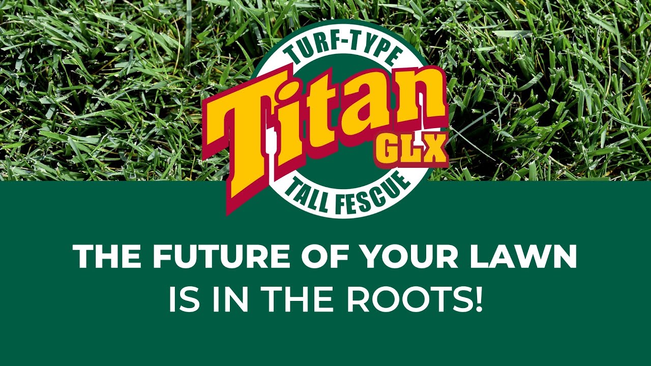 Titan GLX: The Future of Your Lawn is in the Roots!