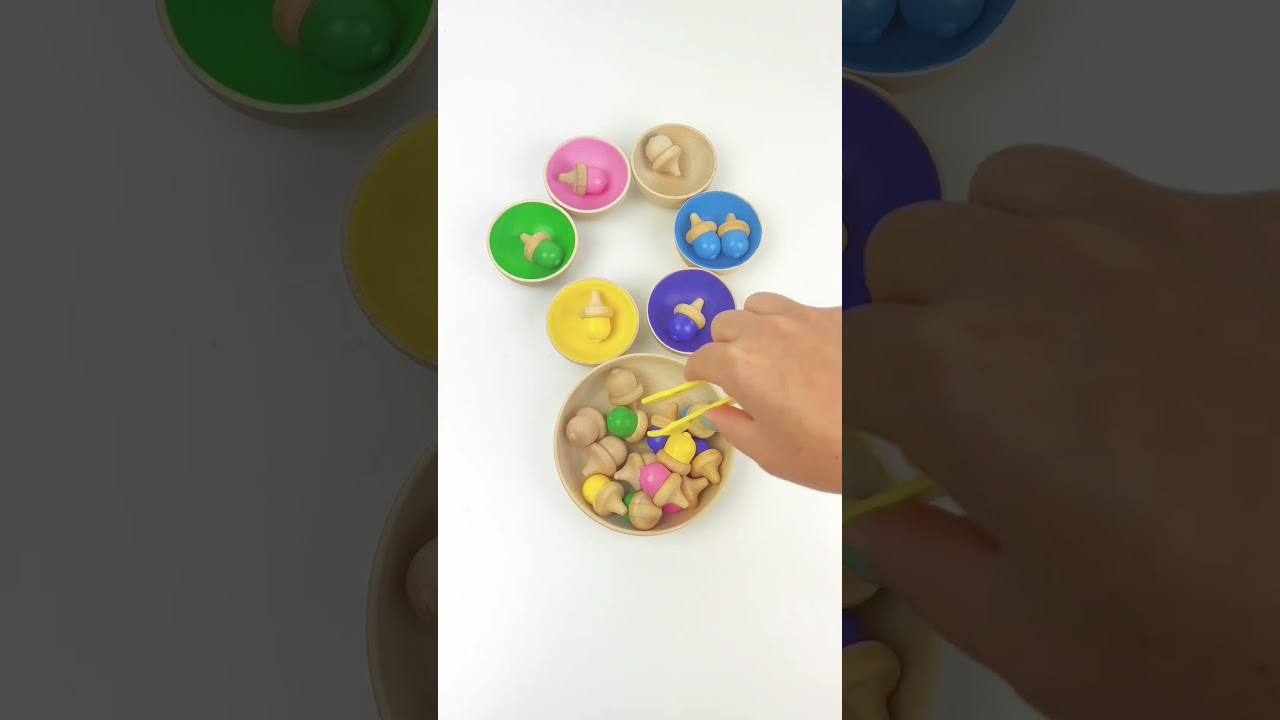 Satisfying sorting colorful acorns ASMR! #satisfying #coloring #acorn