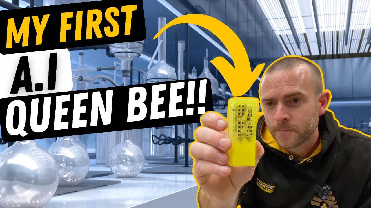 My First Artificially Inseminated ( A I ) Queen Bee!!