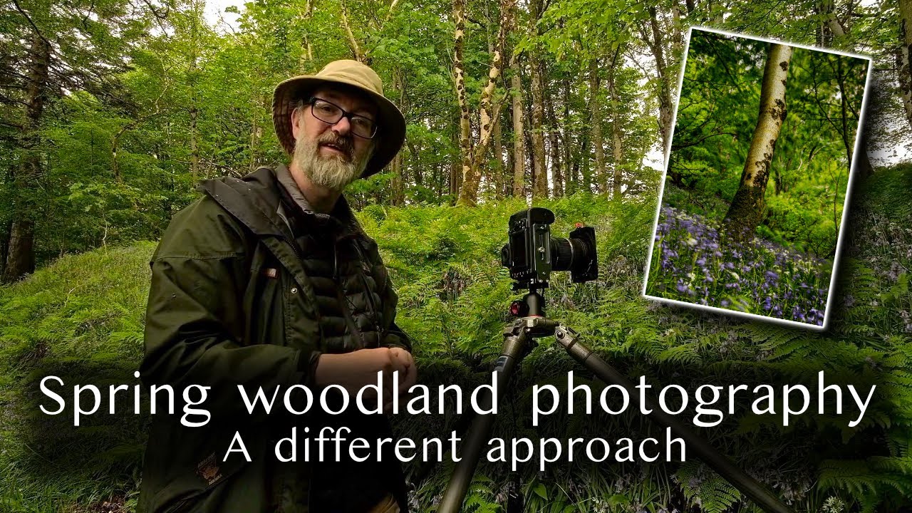 Spring bluebell photography - a different approach