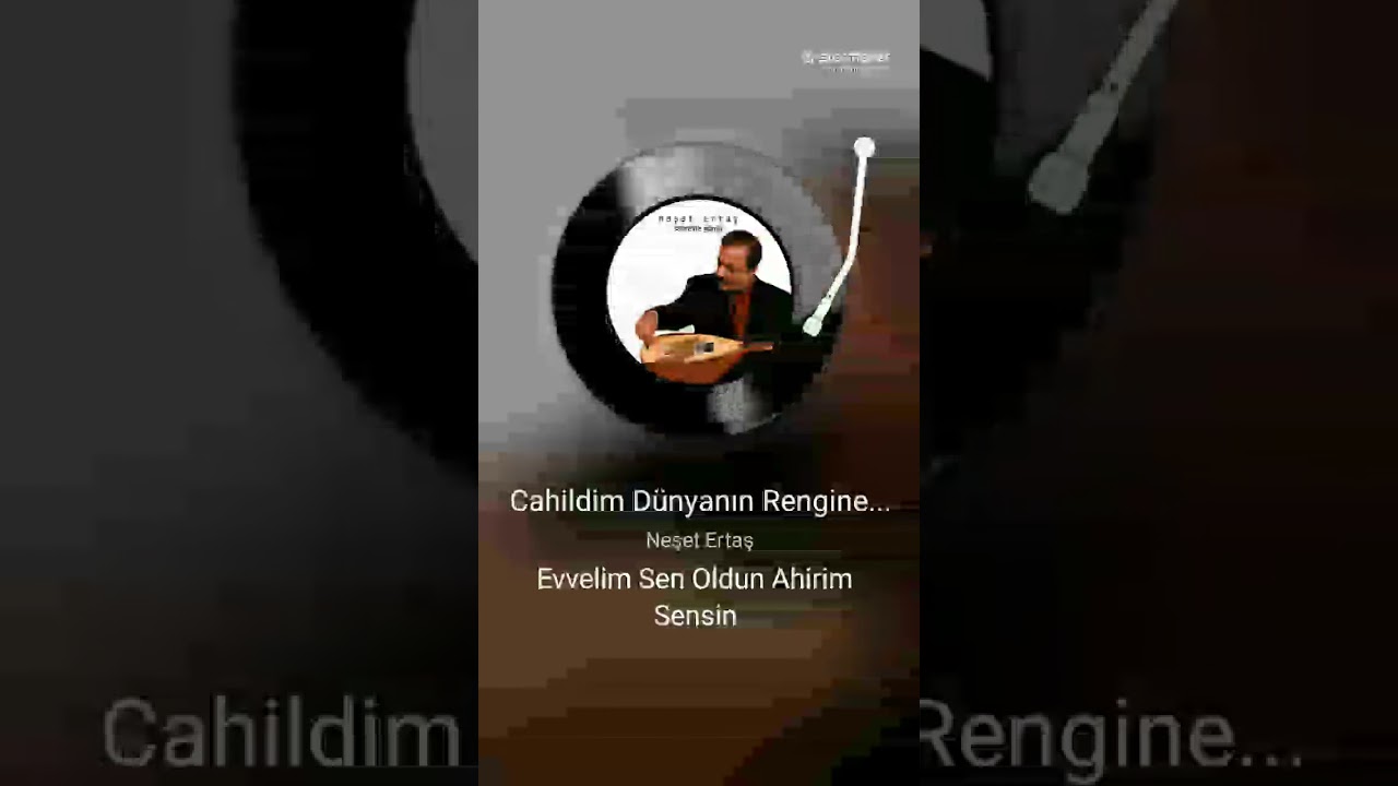 25 Şubat 2026
