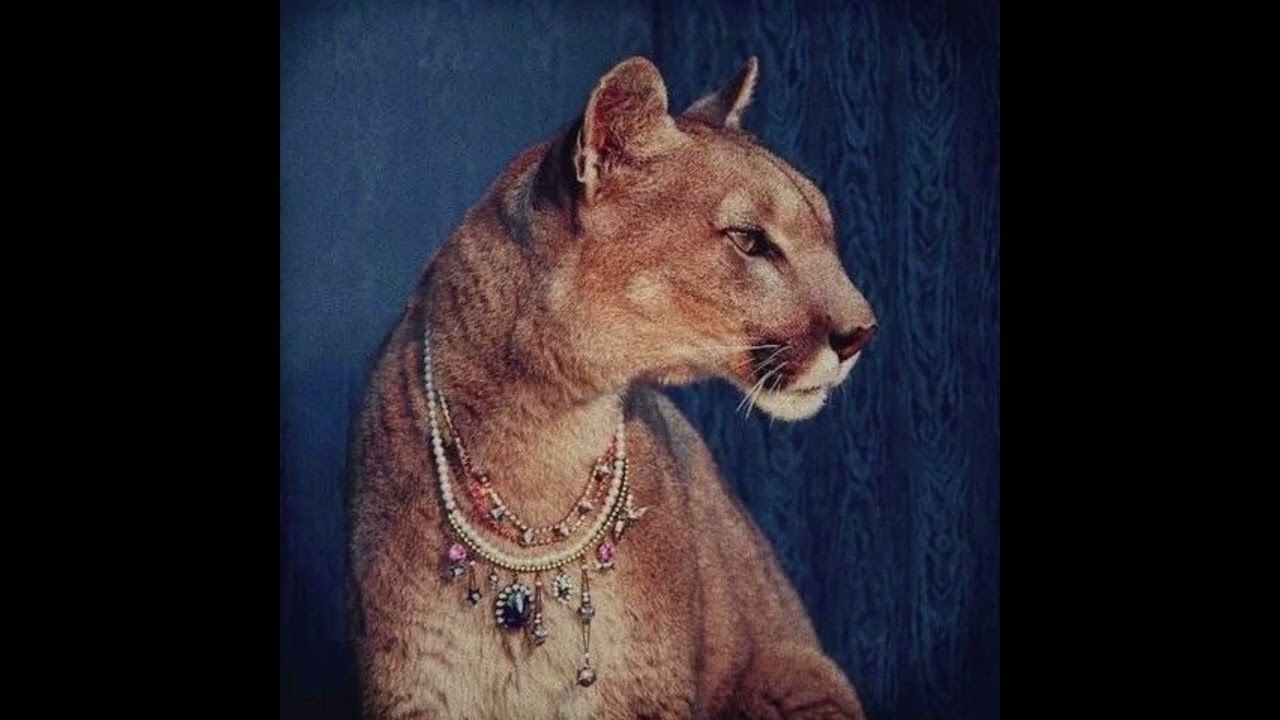 [FREE FOR PROFIT] Griselda Type Beat 
