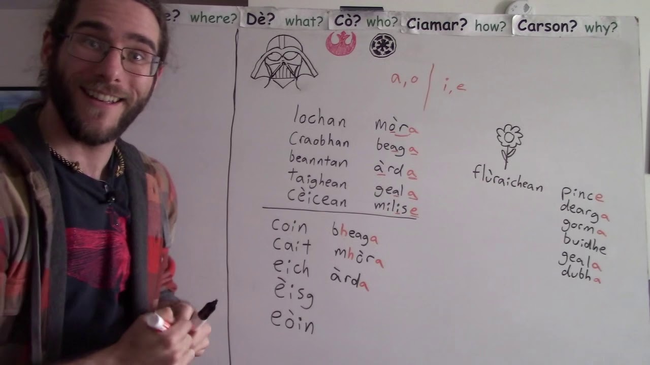 Plural Adjectives 1: Short Adjectives