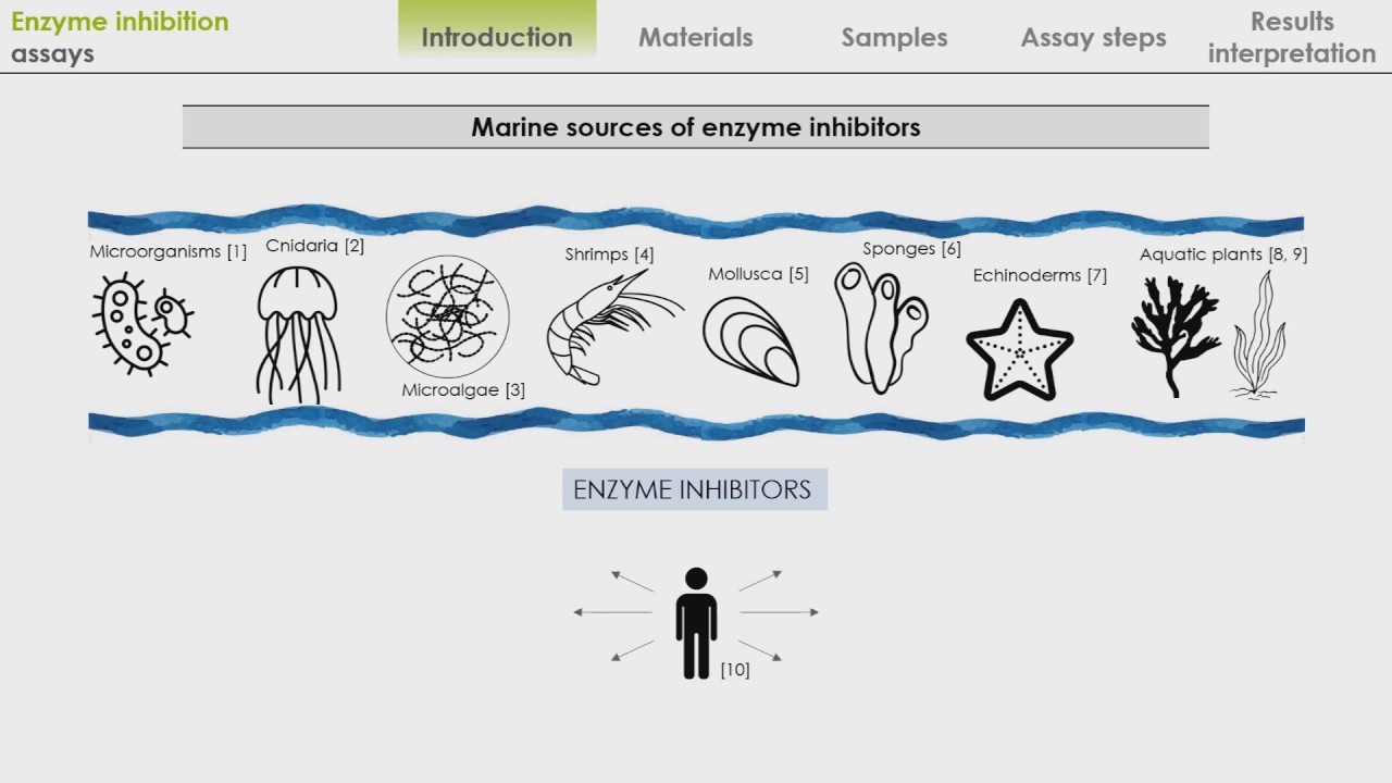 Enzyme inhibition assay