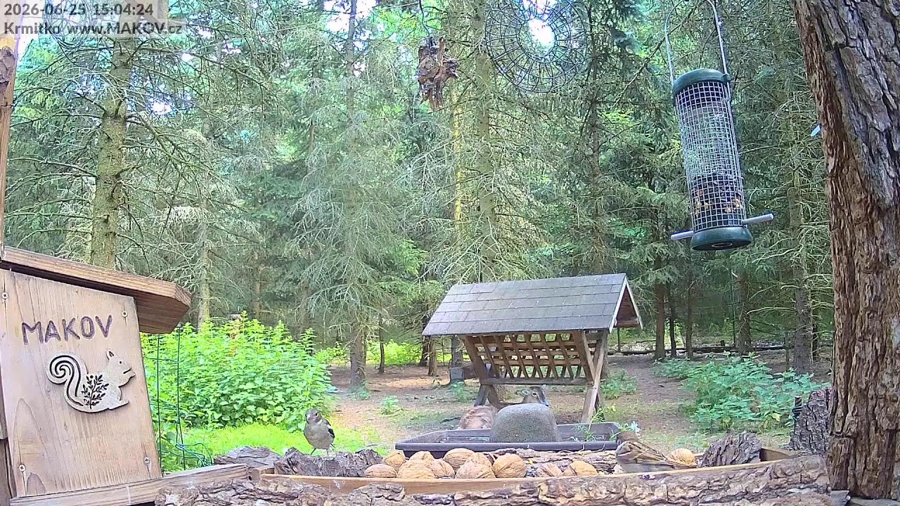 Záchranná stanice živočichů Makov - Krmítko