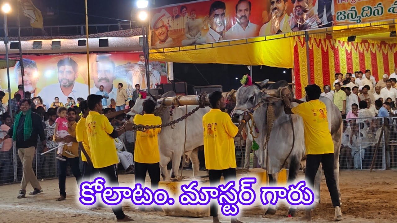 చిలకలూరిపేట సీనియర్స్ 11వ