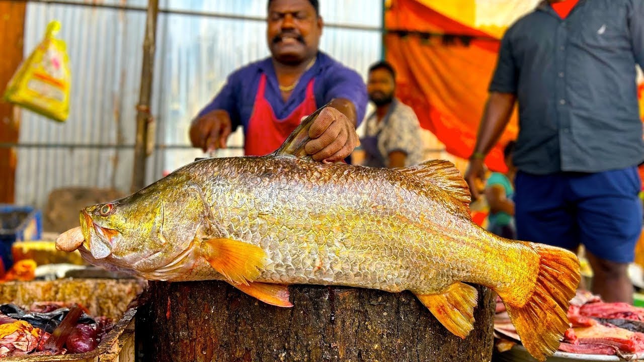 KASIMEDU 🔥 SPEED SELVAM | KODUVA🐟 FISH MASS CUTTING SKILLS | N M FISH CUTTING 🔪