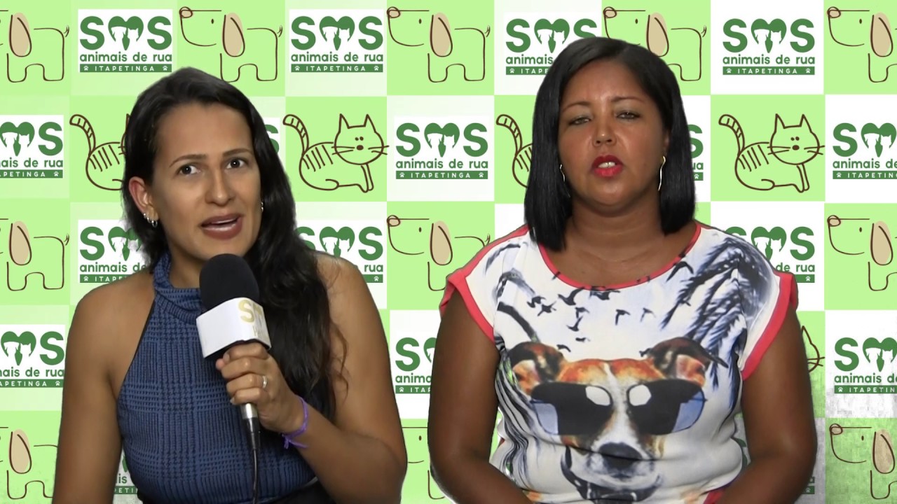 SOS Pet Show #02 - Voluntariado