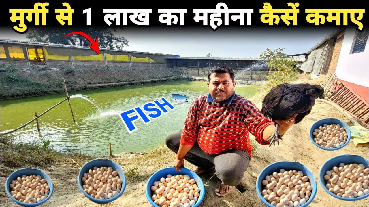 इंजीनियर साहब ने नौकरी छोड़ मुर्गी पालन तथा मछली पालन शुरू किया | Fish farming | Poultry farming