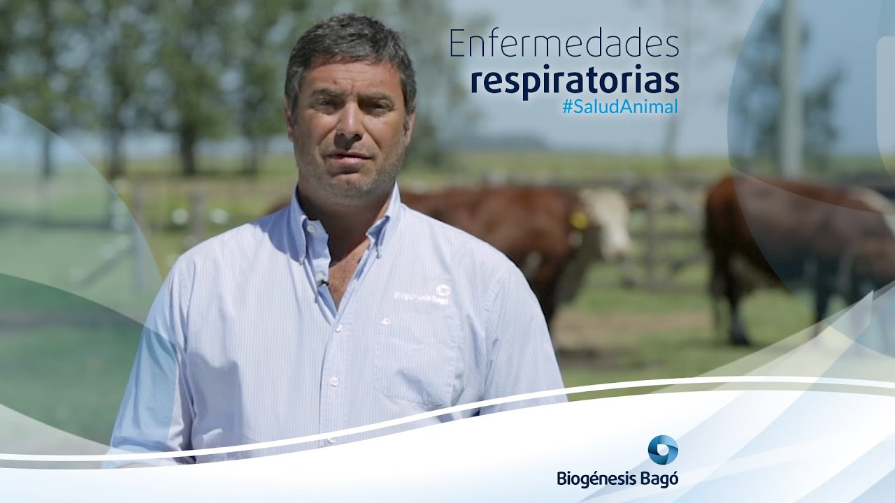 Enfermedades Respiratorias | Salud Animal | Biogénesis Bagó