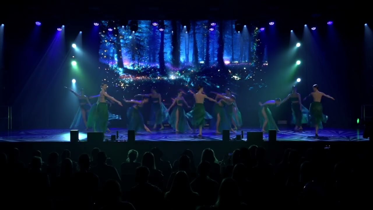 Aristo Dance Company - Reborn / International Choreographers Competition 