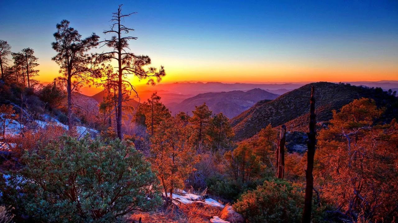 La vie de L'imam Ahmed Ibnou Hanbal رحمه الله - Sadek Abou Yahya