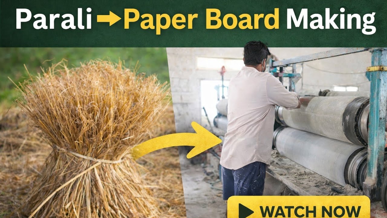 Parali to Paper Board Making Process | Straw Waste to Paper Board Machine | Full Production