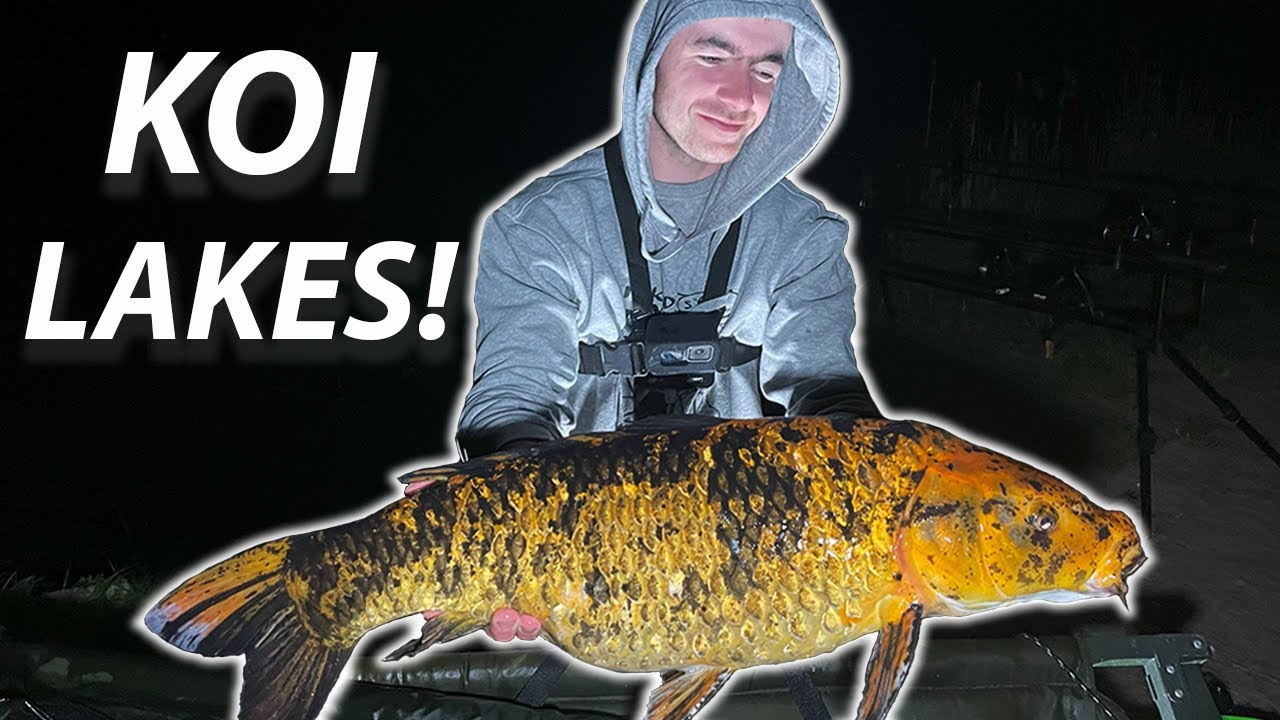 POLOWANIE NA KOI! 2 DOBY NA ŁOWISKU KOI LAKES! GOŚCINNIE: BER GAR!