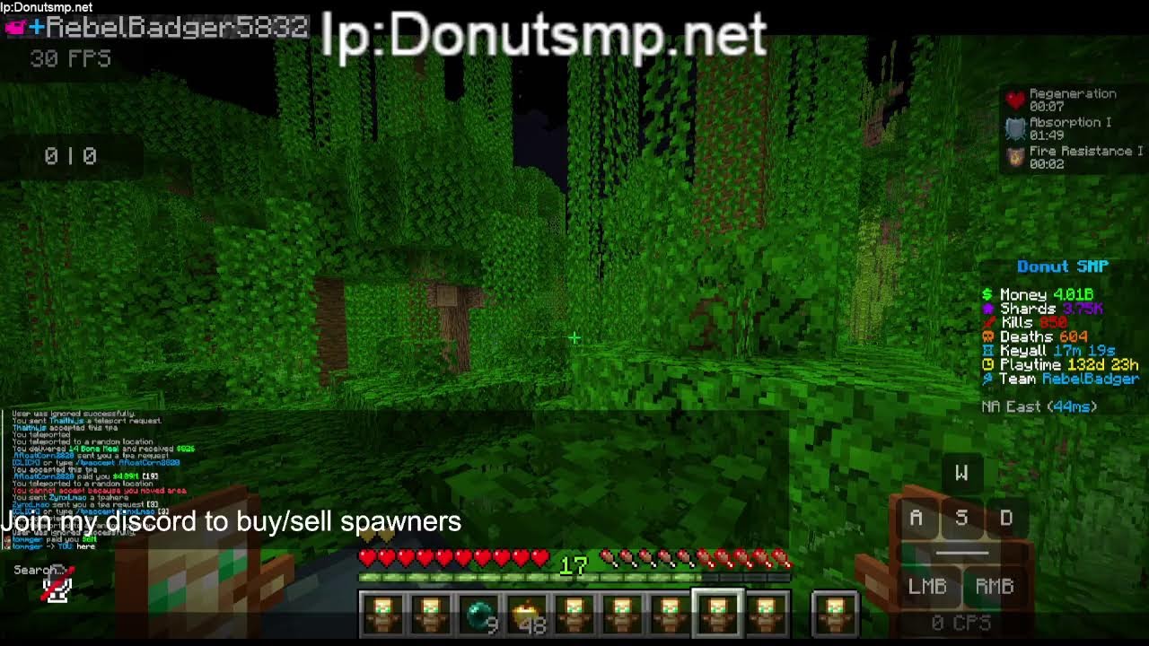 Donut SMP Gambling maybe rating bases! I got Media! (Buying and selling skellies)