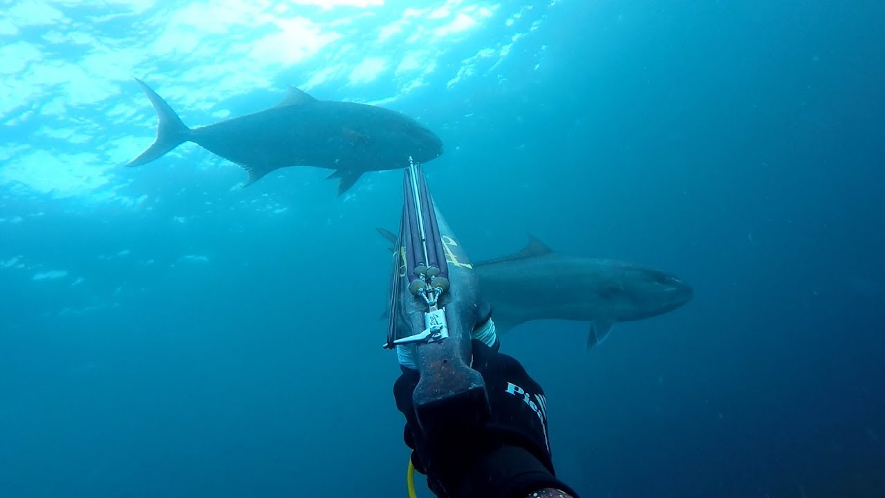 Pescando En El Estrecho