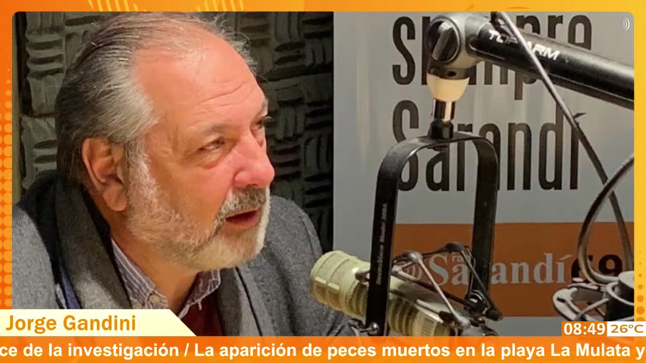 Gandini tras fallo del TCA sobre Katoen Natie “Se lauda un tema de muchísima polémica y cuestionado”